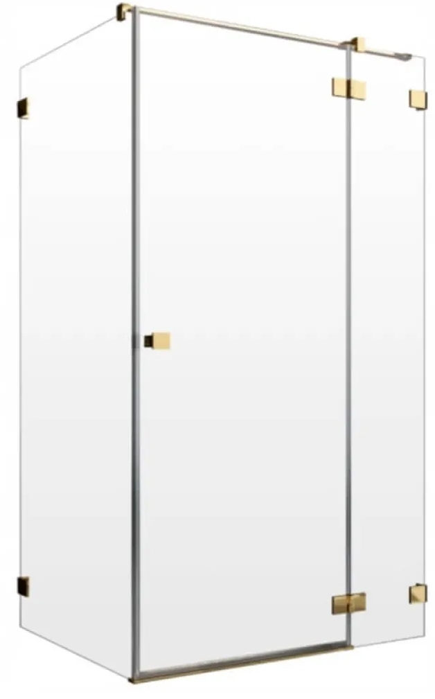 Двері душової кабіни Radaway Essenza Pro KDJ 120x200 (10097120-09-01R) в інтернет-магазині, головне фото