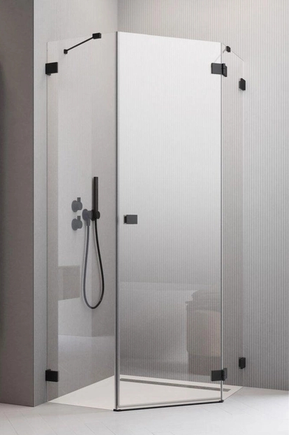 Двері душової кабіни Radaway Essenza Pro PTJ 57x200 (10100000-54-01L) в інтернет-магазині, головне фото