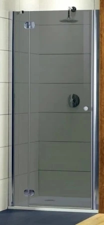 Двері душової кабіни Radaway Torrenta DWJ 110 (31940-01-05N)