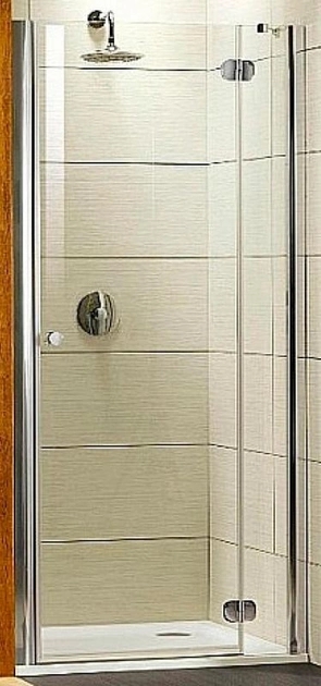 Двері душової кабіни Radaway Torrenta DWJ 100 (32020-01-01N) в інтернет-магазині, головне фото