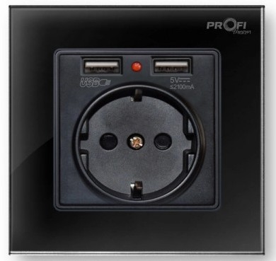 Розетка Profi Therm Singl 2 USB Elegant Black в интернет-магазине, главное фото