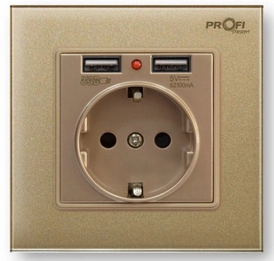 Розетка Profi Therm Singl 2 USB Pure Gold в інтернет-магазині, головне фото