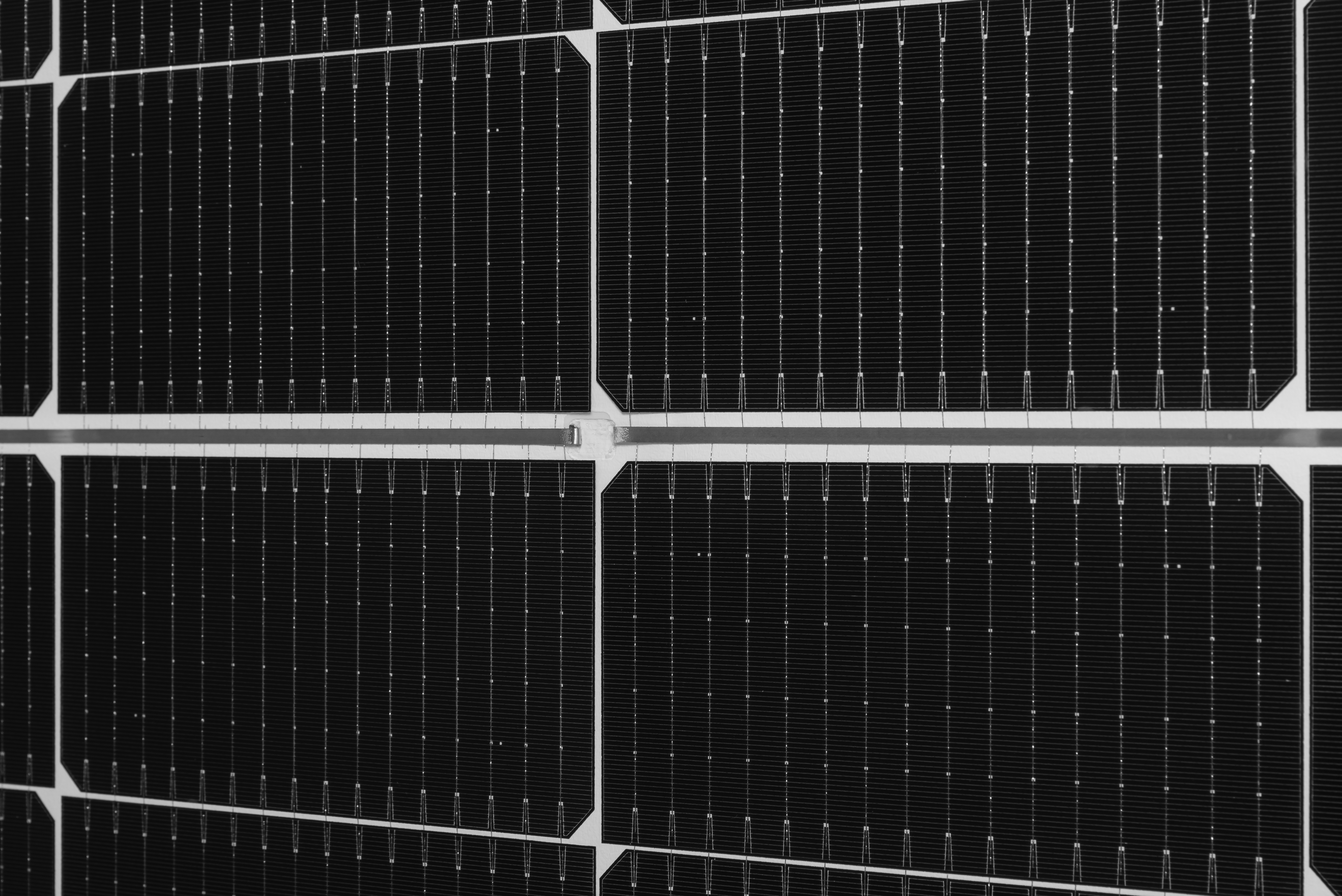 Сонячна панель Jinko Solar JKM-445N-54HL4R-V N-type ціна 5532 грн - фотографія 2