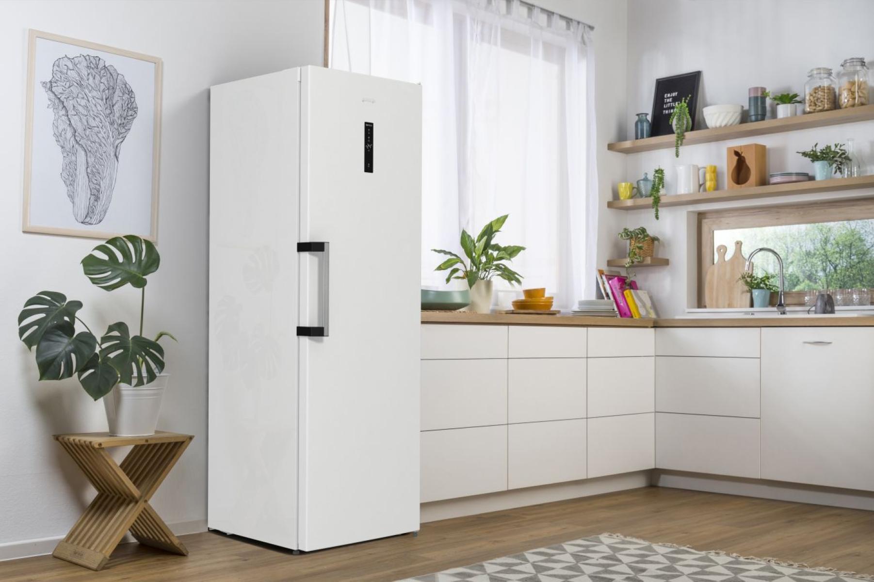 фото продукту Gorenje FN619EAW6 - 24