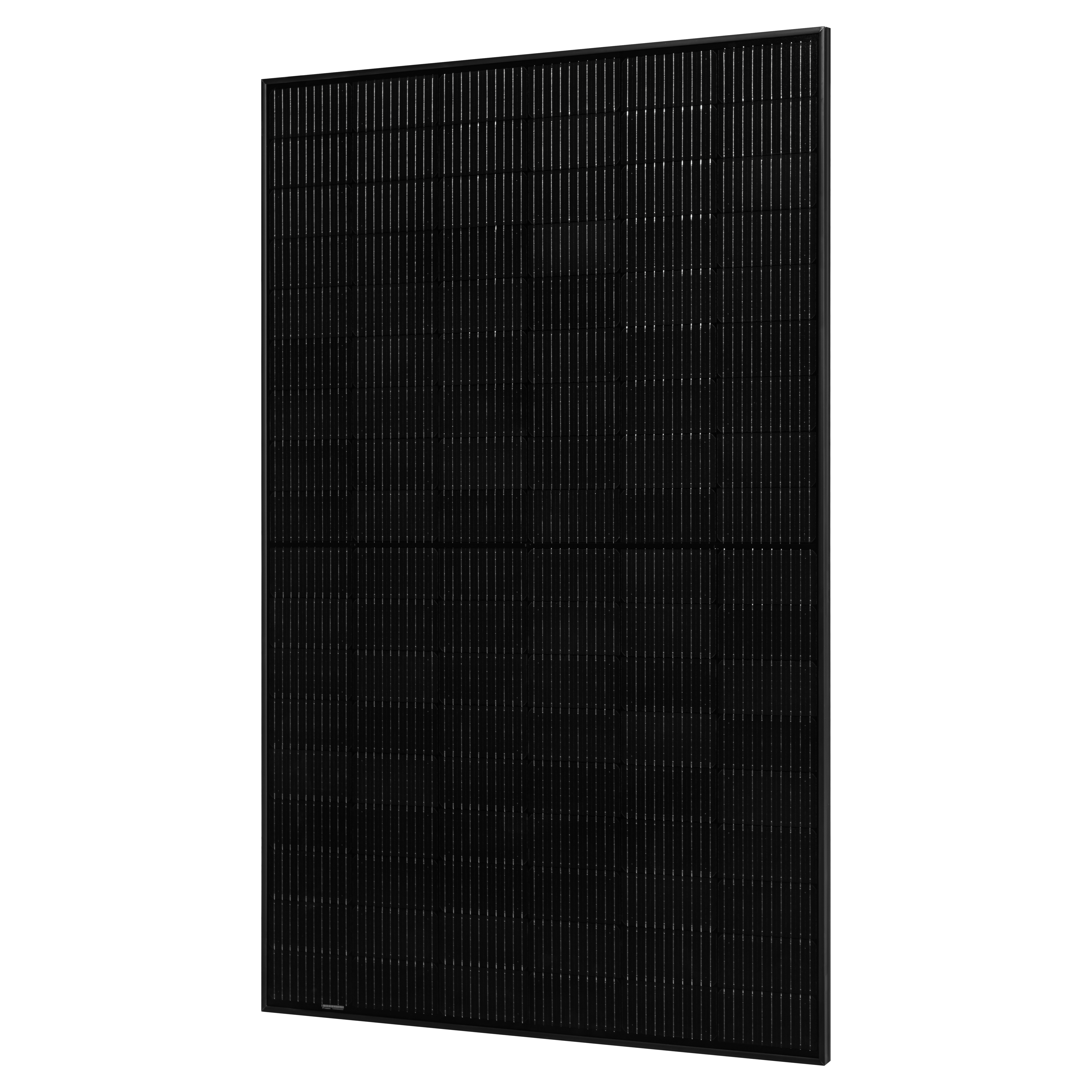 Canadian Solar CS6R-395MS Full Black