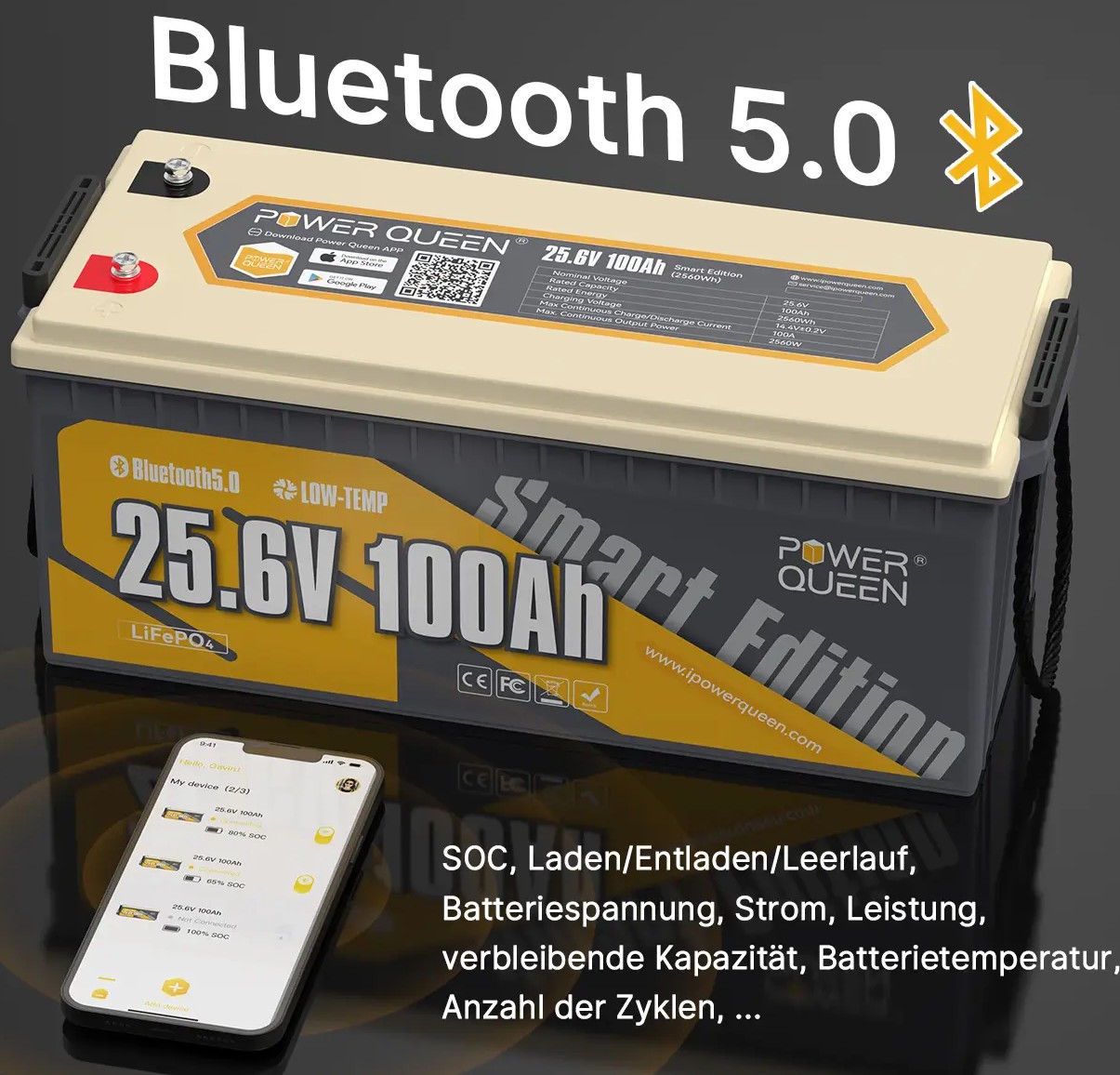 в продажу Акумулятор Power Queen LiFePO4 24V 100Ah Bluetooth - фото 3