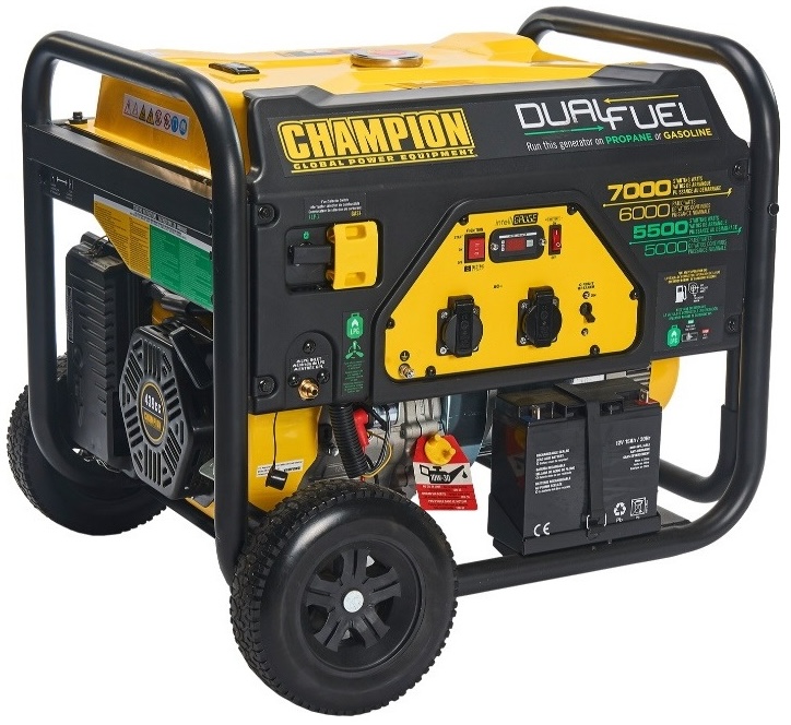 Champion Power Equipment CPG7500E2-DF-EU