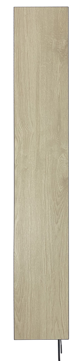 продаємо Flyme 420TBg (C420TBg) beige wood в Україні - фото 4