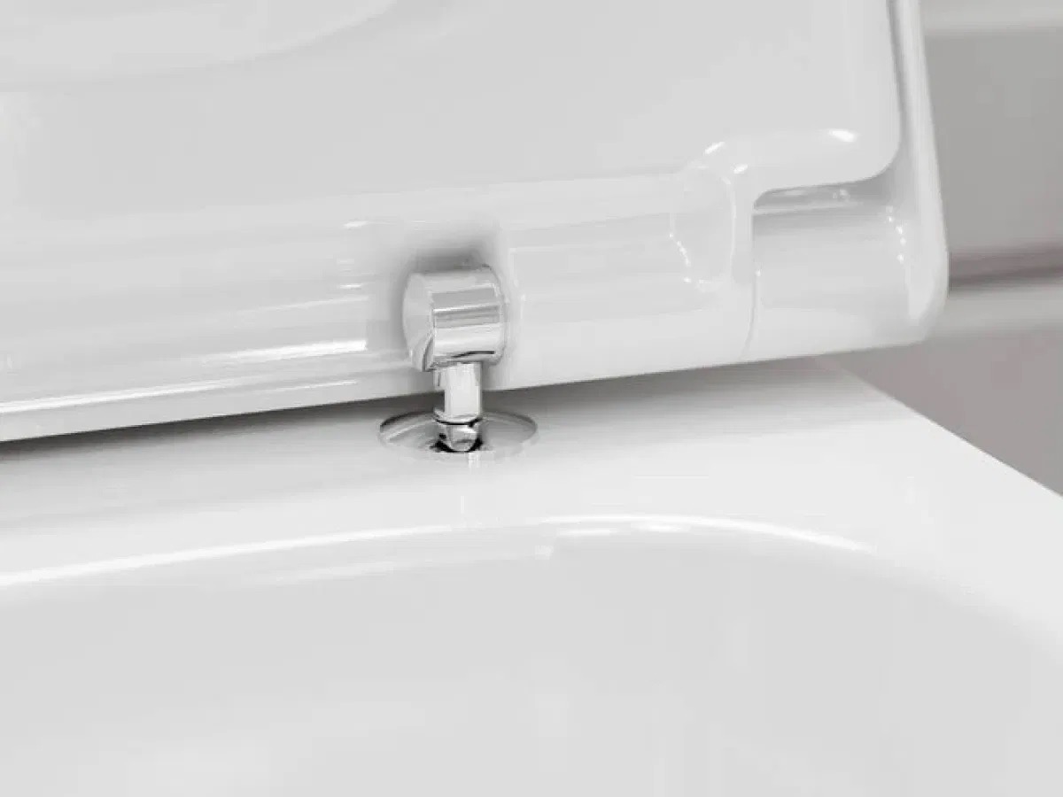 Унитаз подвесной Hansgrohe EluPura Q 540 60194450+60150450 характеристики - фотография 7