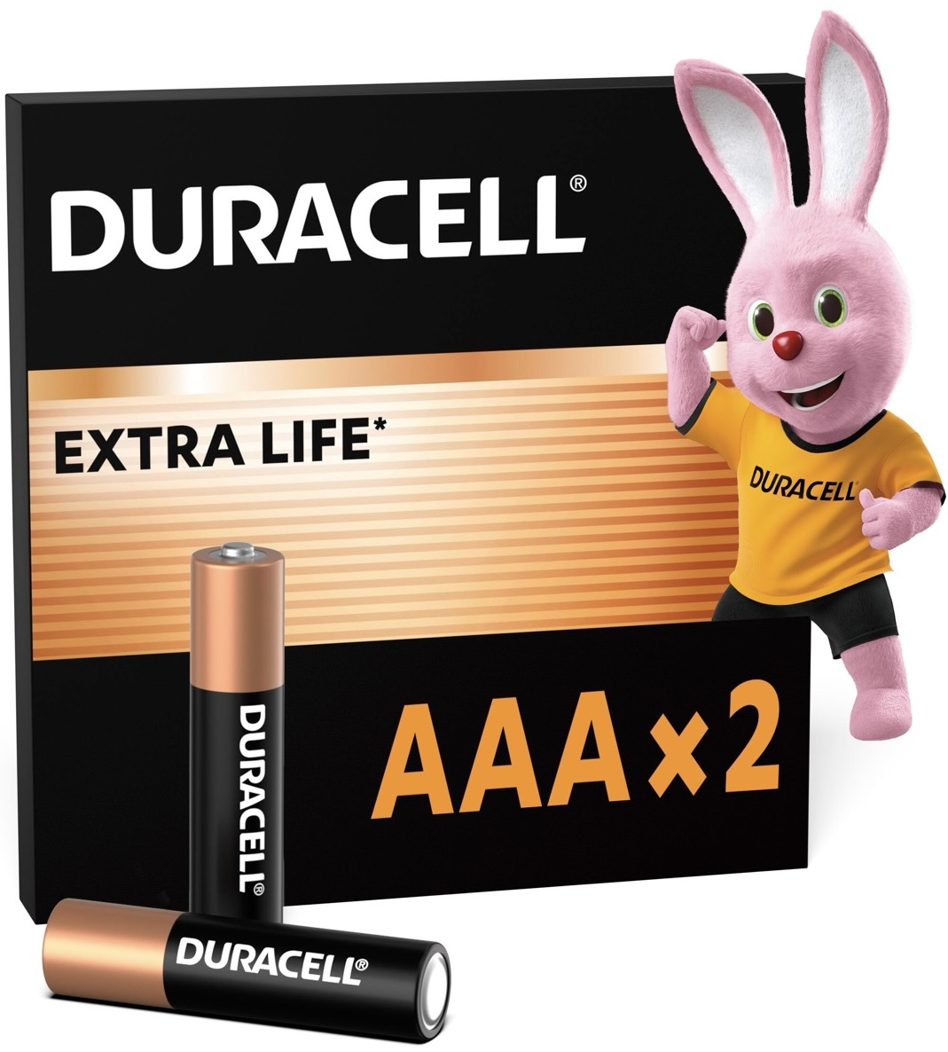 в продажу Лужні батарейки Duracell AAA (LR03) MN2400 Basic 2 шт (5000394077133) - фото 3