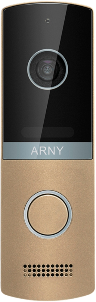 ARNY AVP-NG230 1MPX Champagne