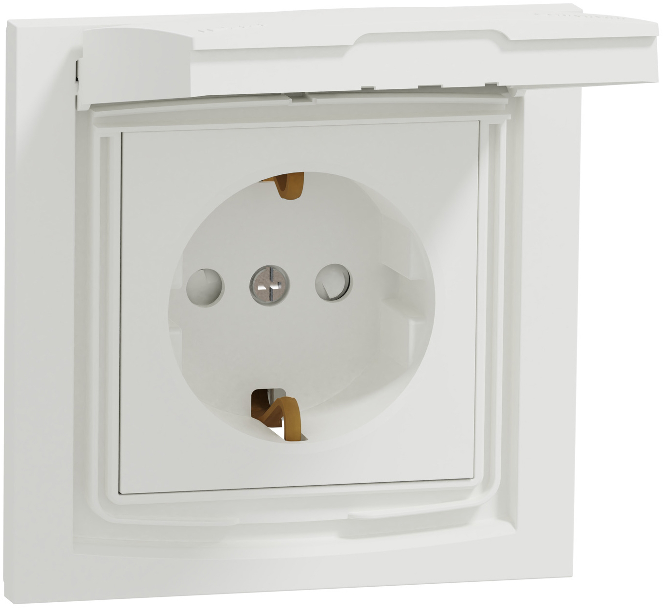 Розетка Schneider Electric Miluz ED (WDE012P03)