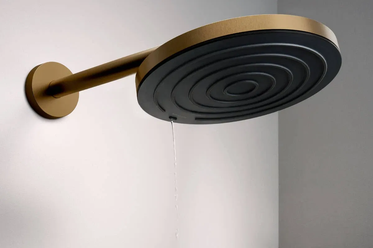 Держатель душа Hansgrohe S 39 Bronze 24357140 цена 11559 грн - фотография 2