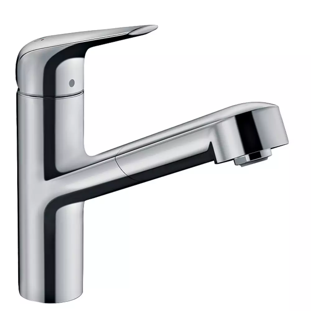 Смеситель для кухни Hansgrohe Focus M42 71865000