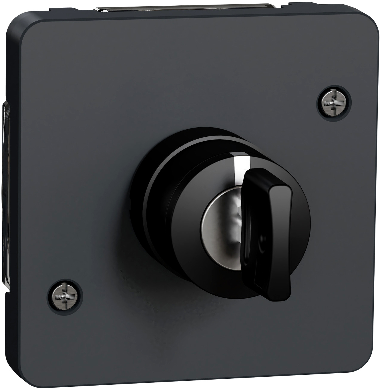 Вимикач Schneider Electric Mureva Styl (MUR35061)