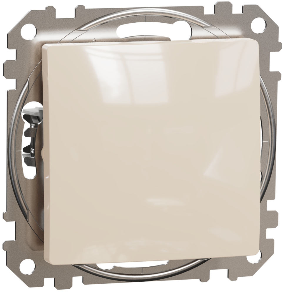 Schneider Electric Sedna Design (SDD112107)