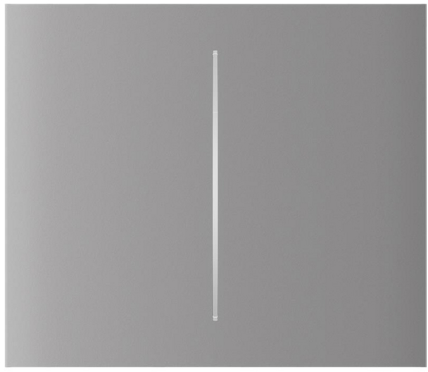 Кнопка вимикача Ajax CenterButton Vertical 2-gang for LightSwitch Jeweler, Fog (000046474)