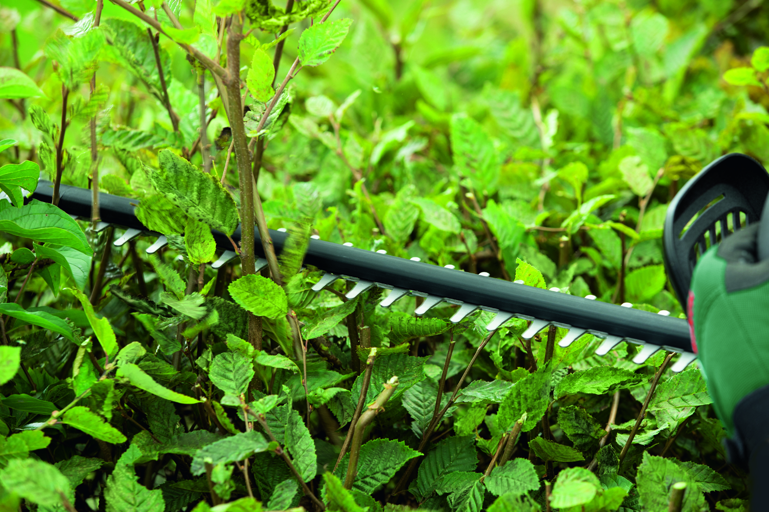 Кущоріз Bosch UniversalHedgecut 18V-50 (0600849K00) характеристики - фотографія 7