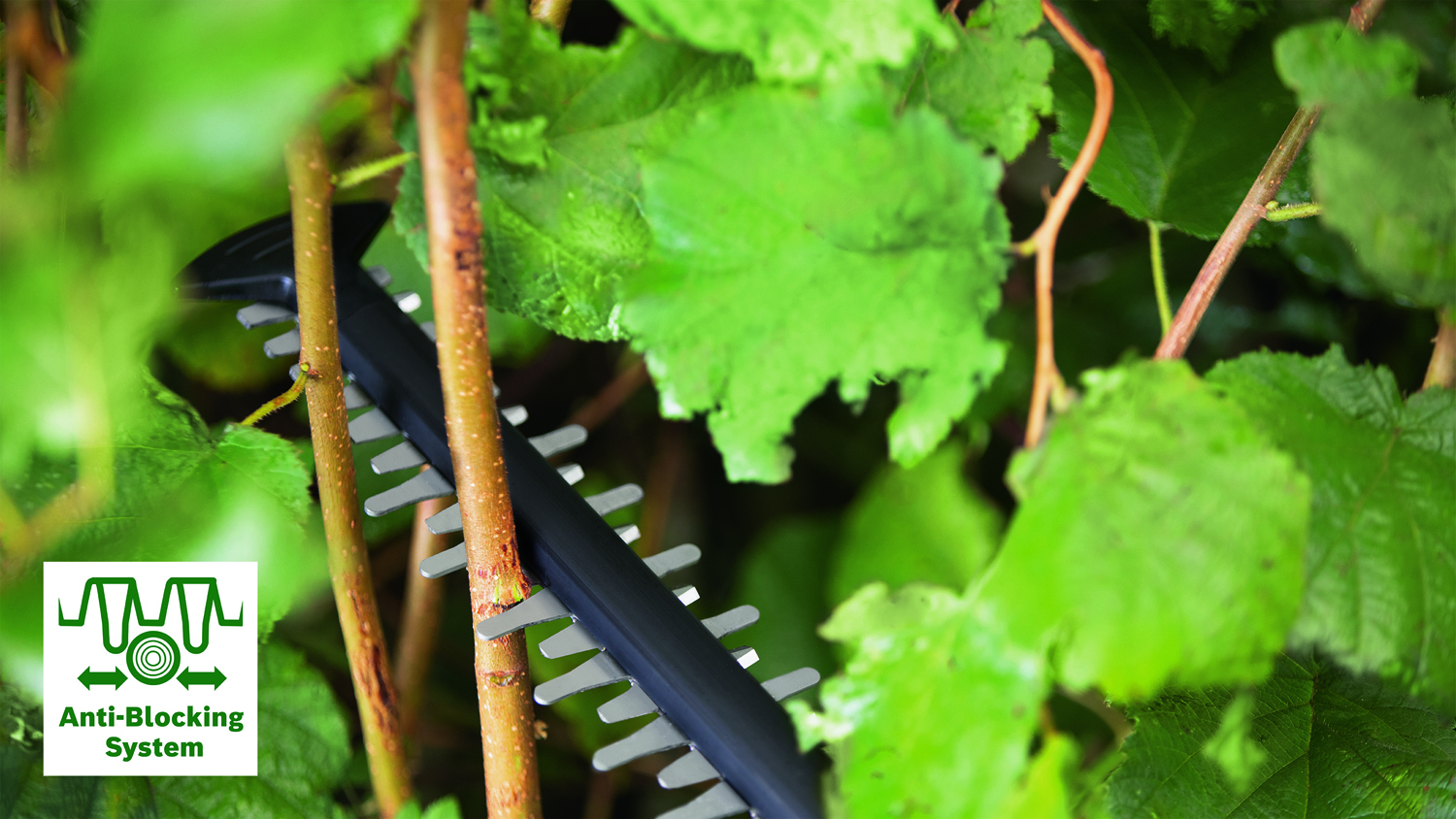 Кусторез Bosch AdvancedHedgeCut 70 (06008C0903) внешний вид - фото 9