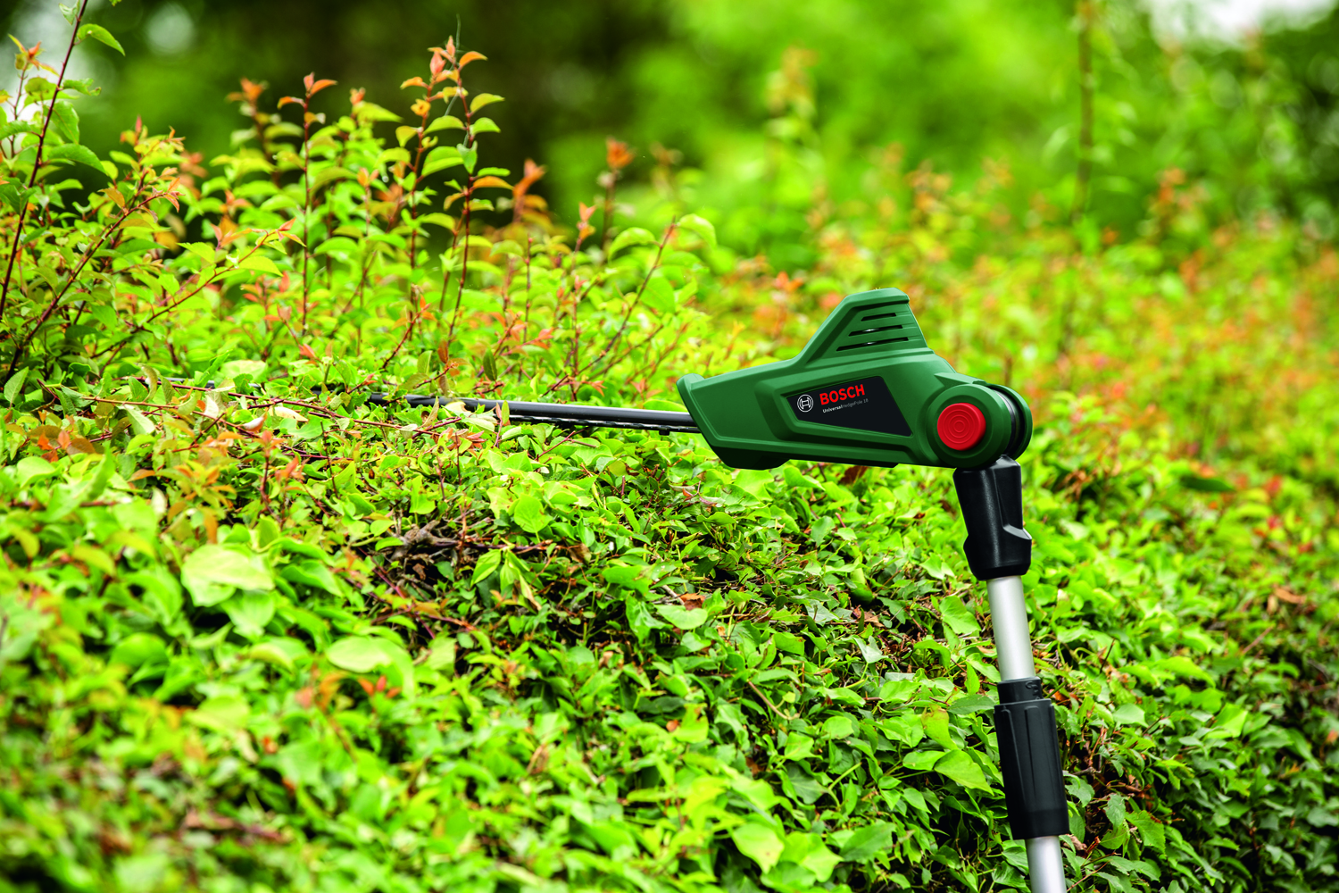 Кусторез Bosch UniversalHedgePole 18 (06008B3000) инструкция - изображение 6