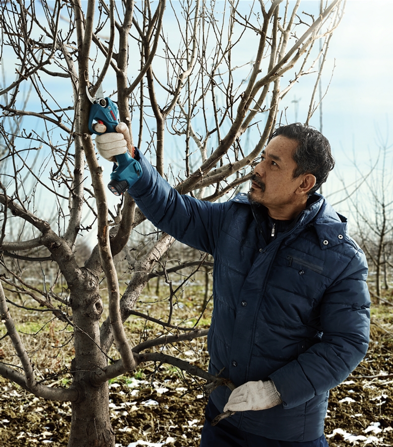 Секатор Bosch Professional Pro Pruner (06019K1020) инструкция - изображение 6