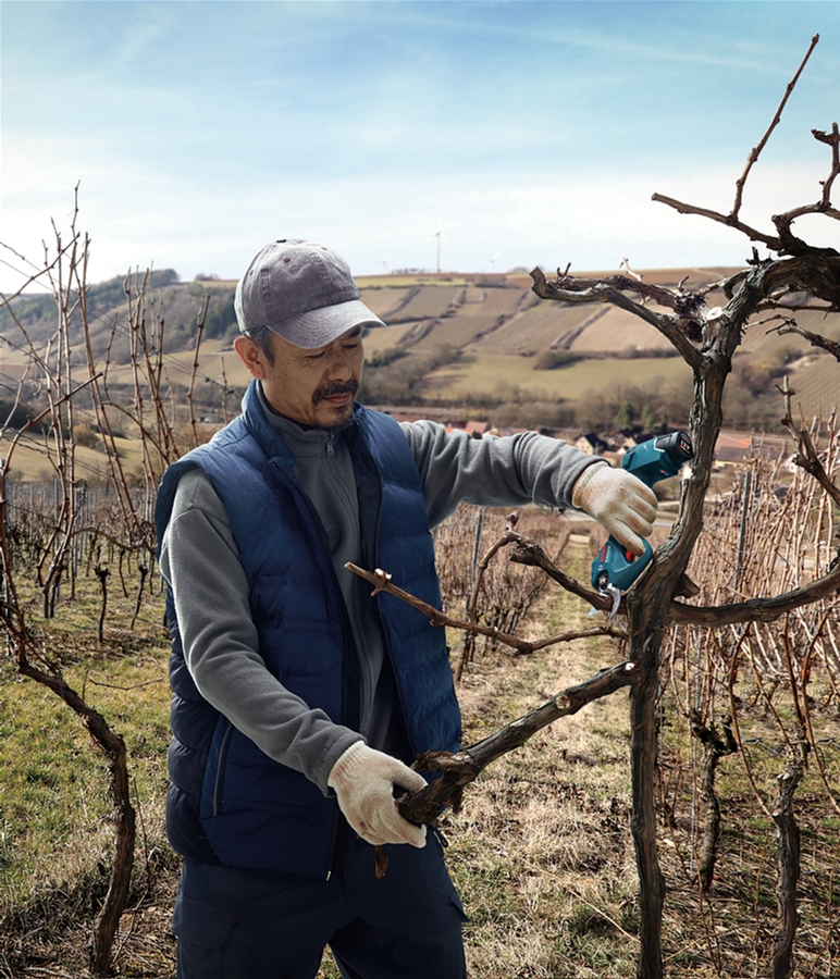 Секатор Bosch Professional Pro Pruner (06019K1021) характеристики - фотография 7