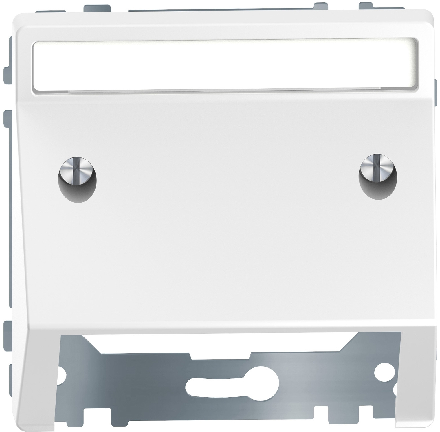Лицьова панель розетки Schneider Electric Merten D-Life (MTN4540-6035)