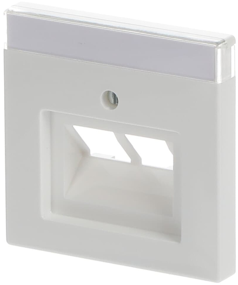 Лицевая панель розетки ABB Future/Carat/Axcent 1803-02-84-500 (2CKA001710A1551) цена 699 грн - фотография 2