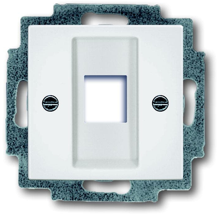 Лицевая панель розетки ABB Basic 55 2561-94-507 (2CKA001753A0213)