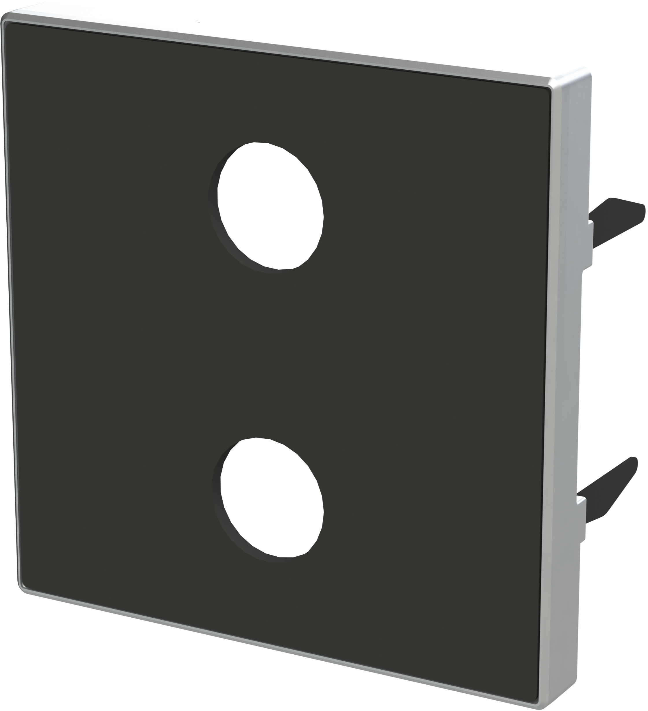 Лицевая панель розетки ABB Sky 8555.2 NS (2CLA855520A1501) цена 846 грн - фотография 2