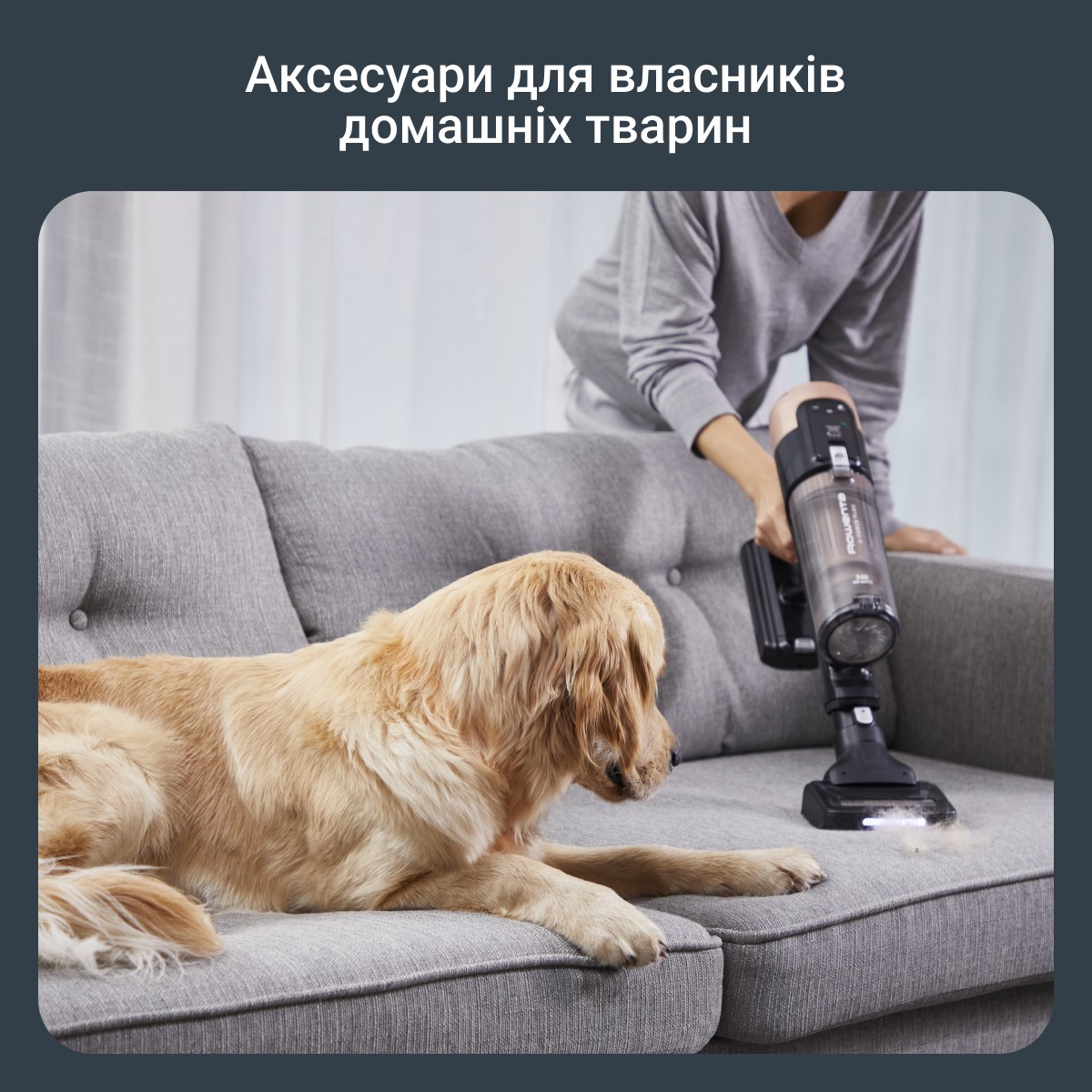 товарная единица Rowenta X-Force Flex 14.80 Auto Animal RH9B74WO - фото 15