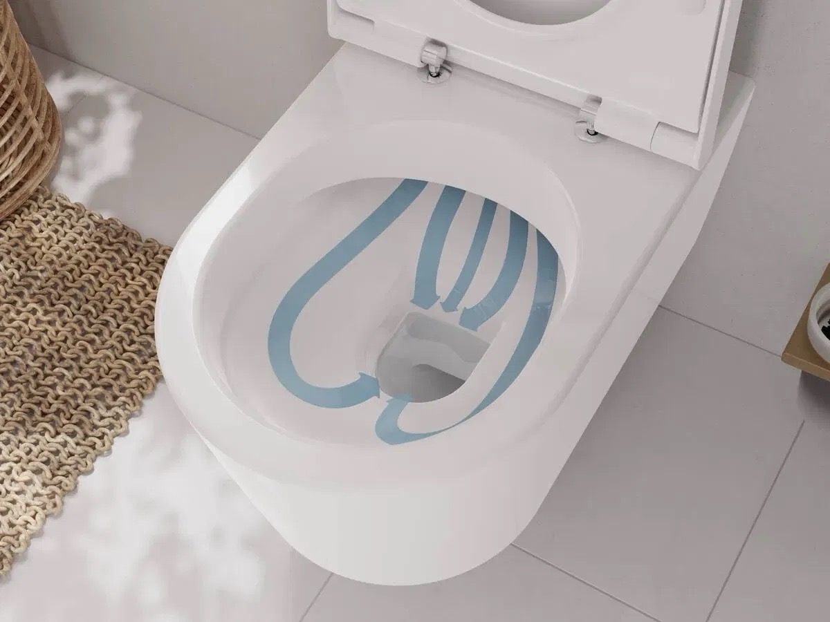 Унитаз подвесной Hansgrohe EluPura S 540 Rimless 60193450 отзывы - изображения 5
