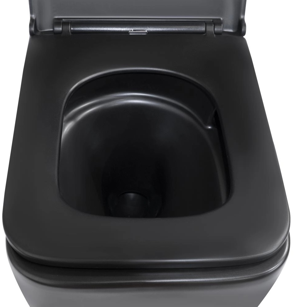 Унитаз подвесной Q-Tap Gemini с сиденьем Soft-close (QT2533076EUQMB) инструкция - изображение 6