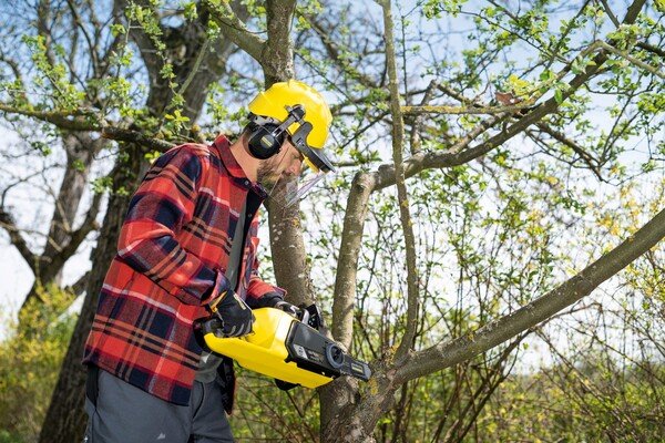 Цепная пила Karcher CNS 18-30 Battery (9.611-915.0) инструкция - изображение 6