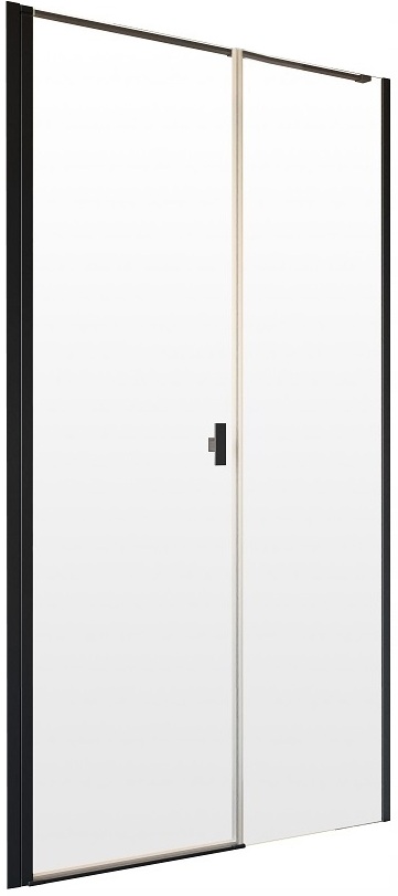 Двері душової кабіни Radaway NES KDS II 120x200 (10033120-54-01R)