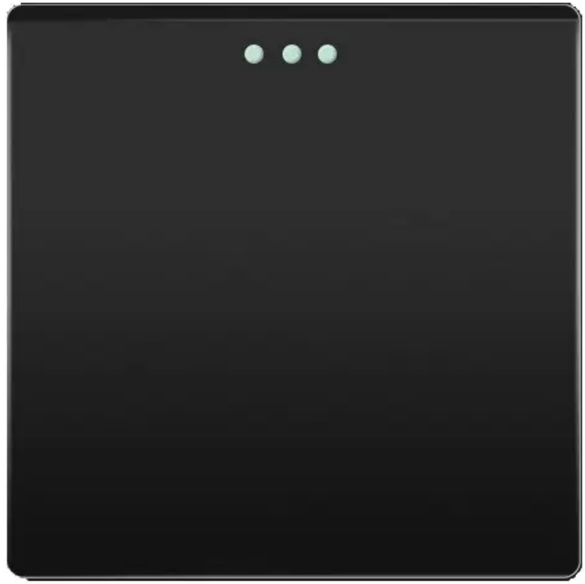 Терморегулятор + выключатель + розетка 1DAL P228-SW1G-TRWF-ST.BL характеристики - фотография 7