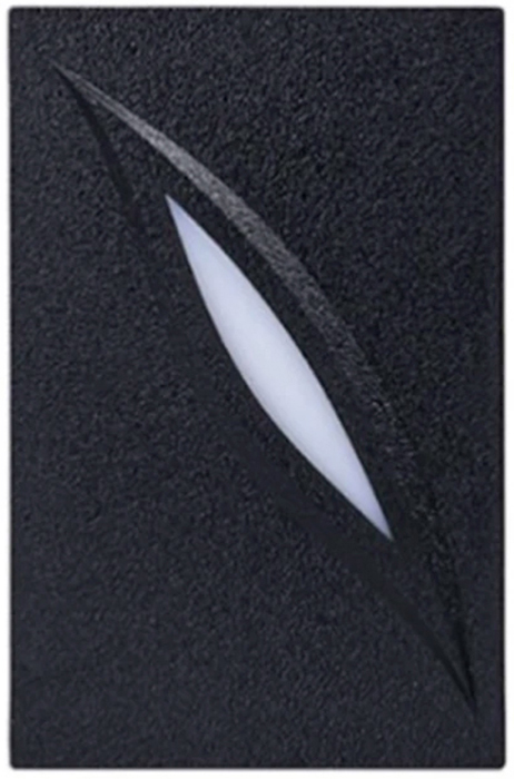 Считыватель ZKTeco KR100M