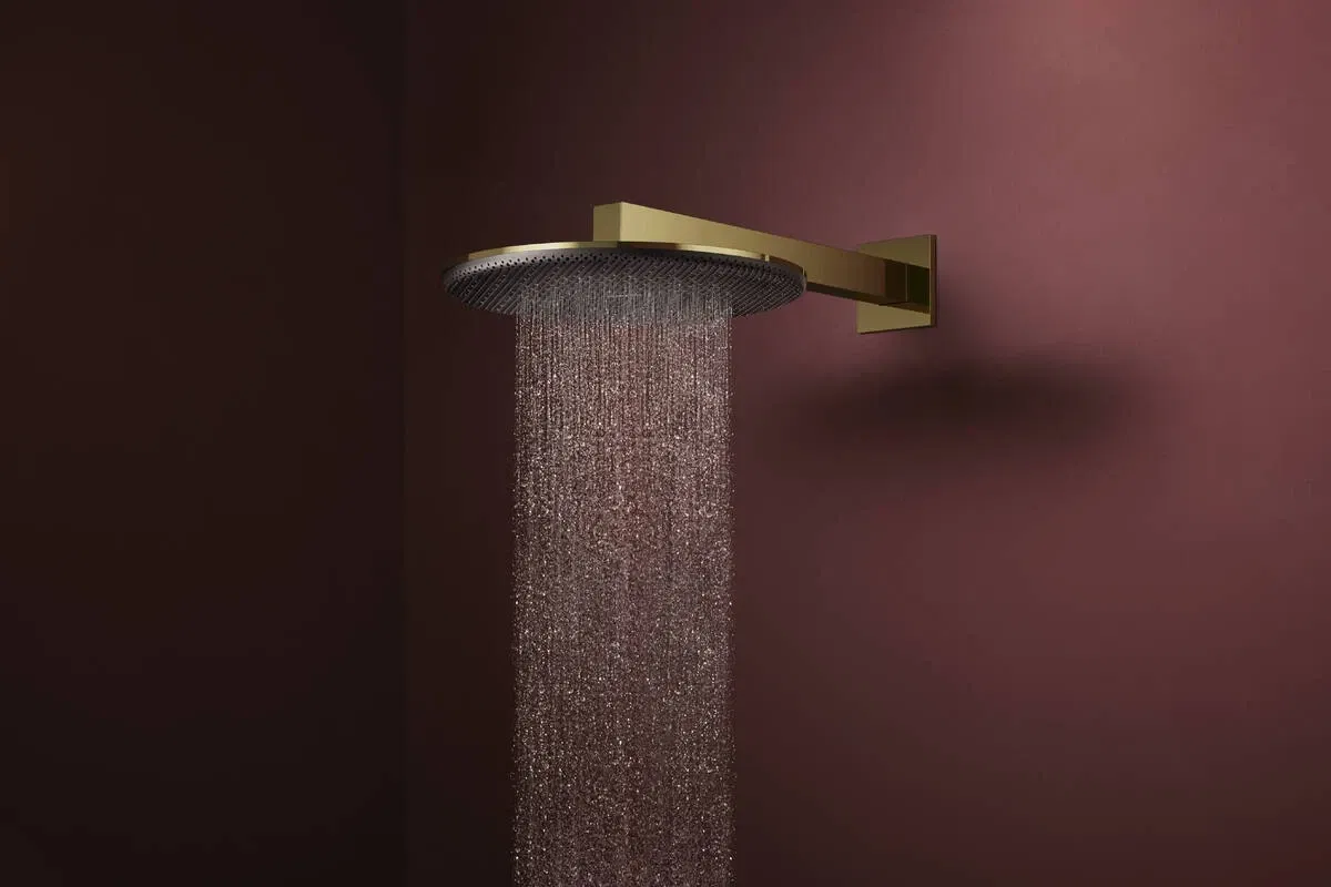 Душевая система Hansgrohe Raindance Alive S Puro 300 1jet Ecostat Element Polished Gold Optic 24592990 внешний вид - фото 9