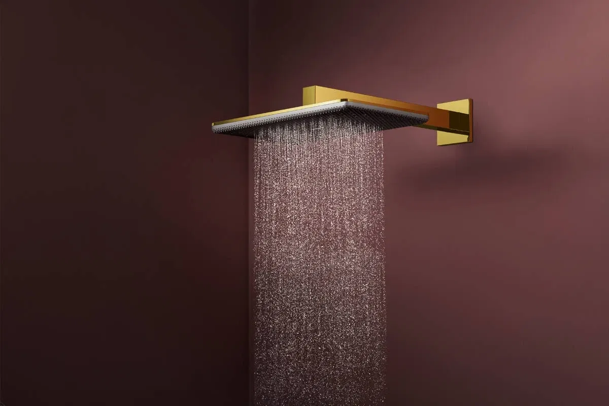 Верхній душ Hansgrohe Raindance Alive Q 340/210 2jet з тримачем Polished Gold Optic 24550990 інструкція - зображення 6