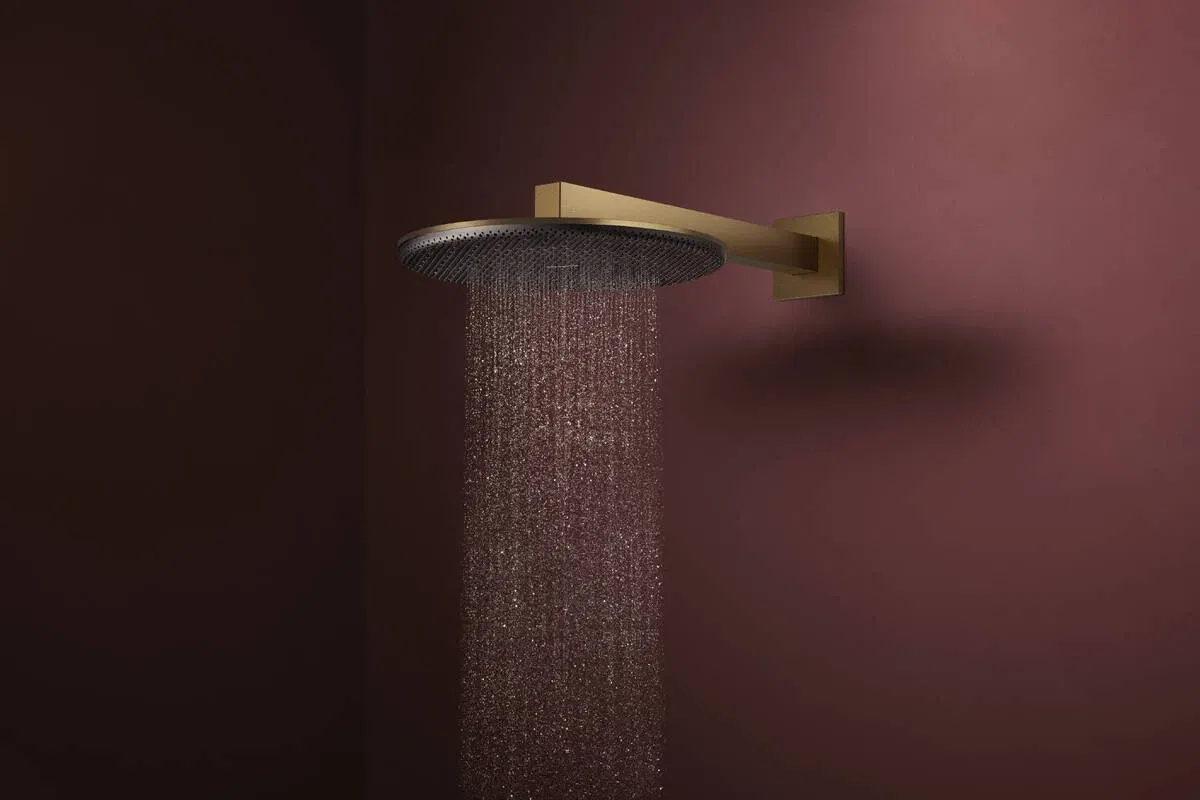 продаём Hansgrohe Raindance Alive S 300 1jet EcoSmart Brushed Bronze 24521140 в Украине - фото 4