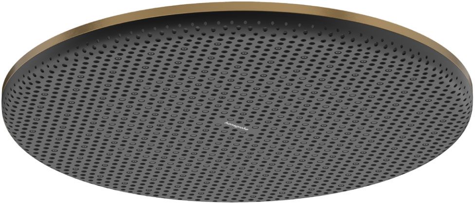 Hansgrohe Raindance Alive S 300 1jet EcoSmart Brushed Bronze 24521140