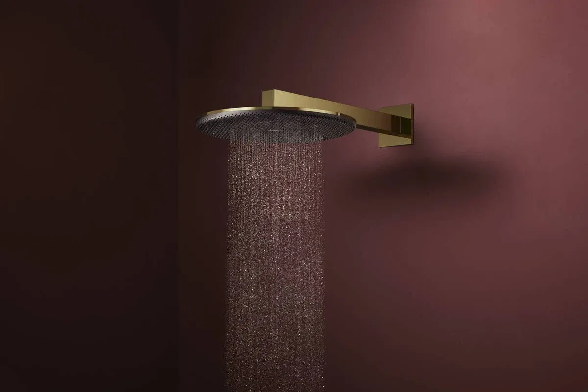 продаємо Hansgrohe Raindance Alive S 300 2jet EcoSmart з тримачем Polished Gold Optic 24541990 в Україні - фото 4