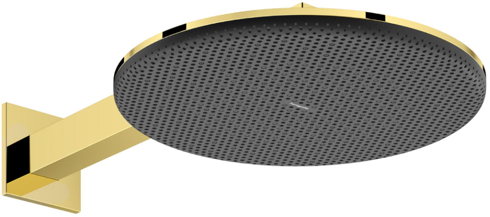 Верхній душ Hansgrohe Raindance Alive S 300 2jet EcoSmart з тримачем Polished Gold Optic 24541990