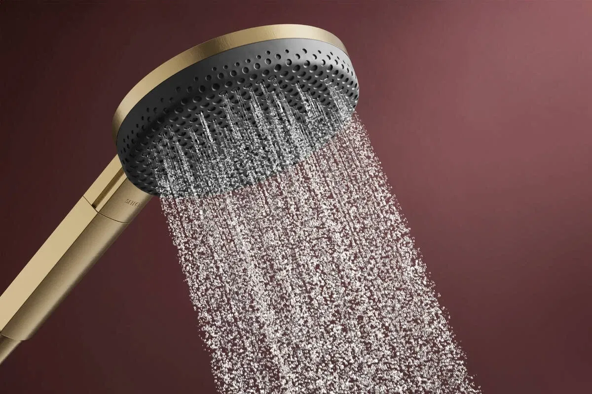 Душевой набор Hansgrohe Raindance Alive Select S 3jet EcoSmart Porter 160 см Brushed Bronze 24611140 цена 13365 грн - фотография 2