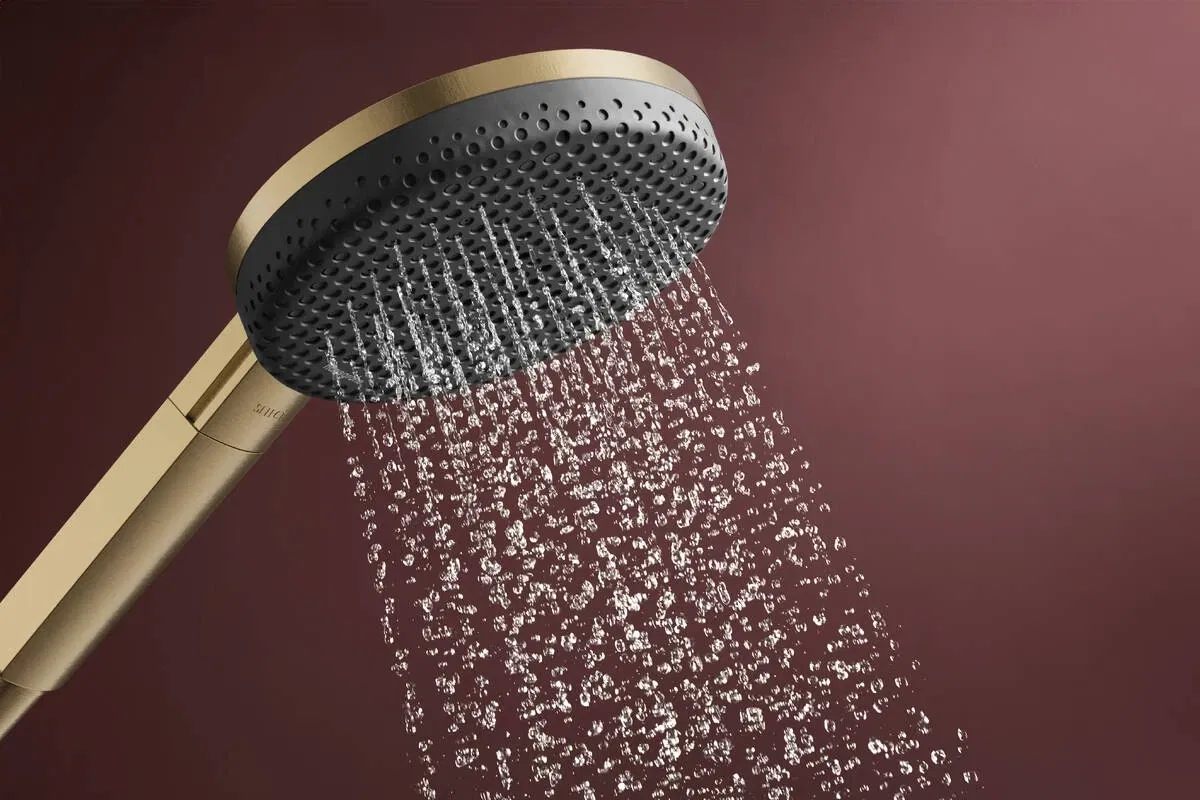 Лійка для ручного душу Hansgrohe Raindance Alive Select S 3jet EcoSmart Brushed Bronze 24511140 відгуки - зображення 5