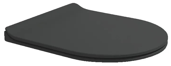 Flaminia App SoftClosing/Quick-release Carbone (QKCW09)