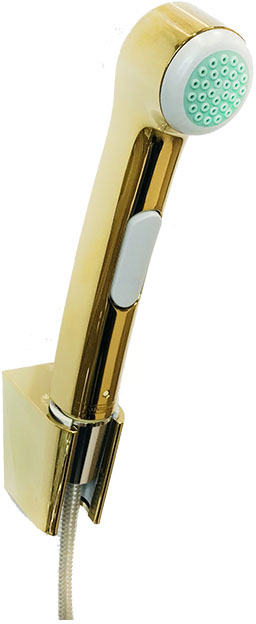 Гігієнічний душ Hansgrohe Polished Gold Optic 3212999