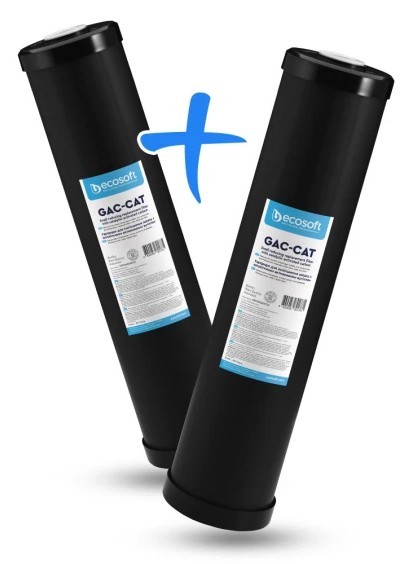 Ecosoft 4,5"х20" CRVS24520ECO 2шт. (від сірководню)