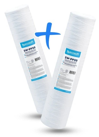 Картридж для фільтра Ecosoft 4,5"х20" 20 мкм CPN2452020ECO 2шт. (механіка)