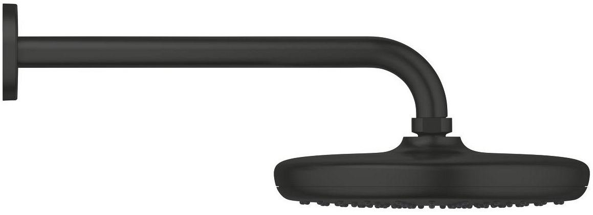 Верхний душ с душевым кронштейном Grohe Tempesta 210 (1022182430) цена 9945 грн - фотография 2